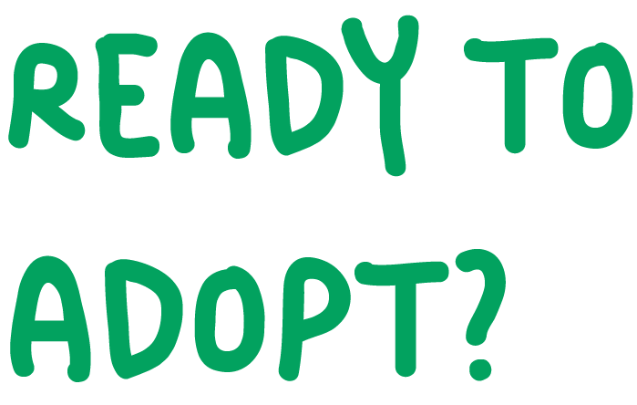 Home 4 ready to adopt@2x minigoldendoodlehub.us- Mini Goldendoodle Hub