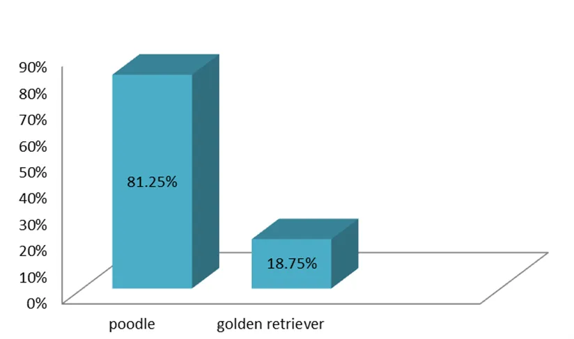 Mini Goldendoodle Generations (F1, F1B, F1BB, F2, F2B, F2BB and Multigen) Explained 14 F2BB-Mini-Goldendoodle