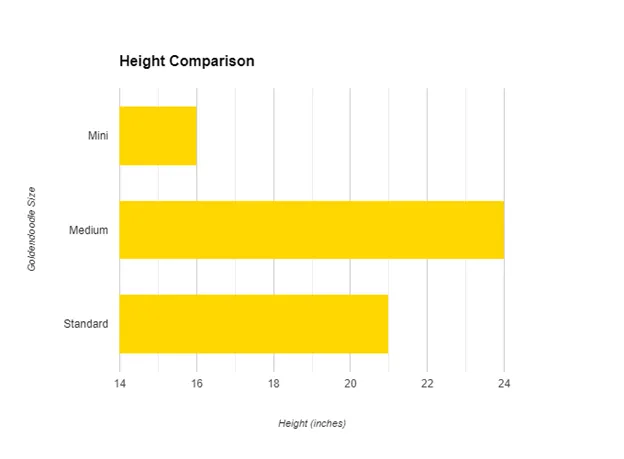 Goldendoodle Size Comparison, Cost, Temper (MINI VS MEDIUM VS ADULT) 3 Goldendoodle-Size-Comparison