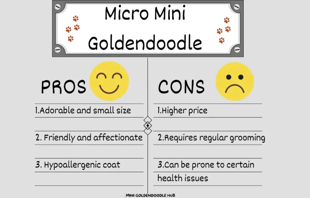 Micro Mini Goldendoodle: A Visual Handbook of this Pocket-sized Puppy 37 Micro-Mini-Goldendoodle-Pros-and-Cons
