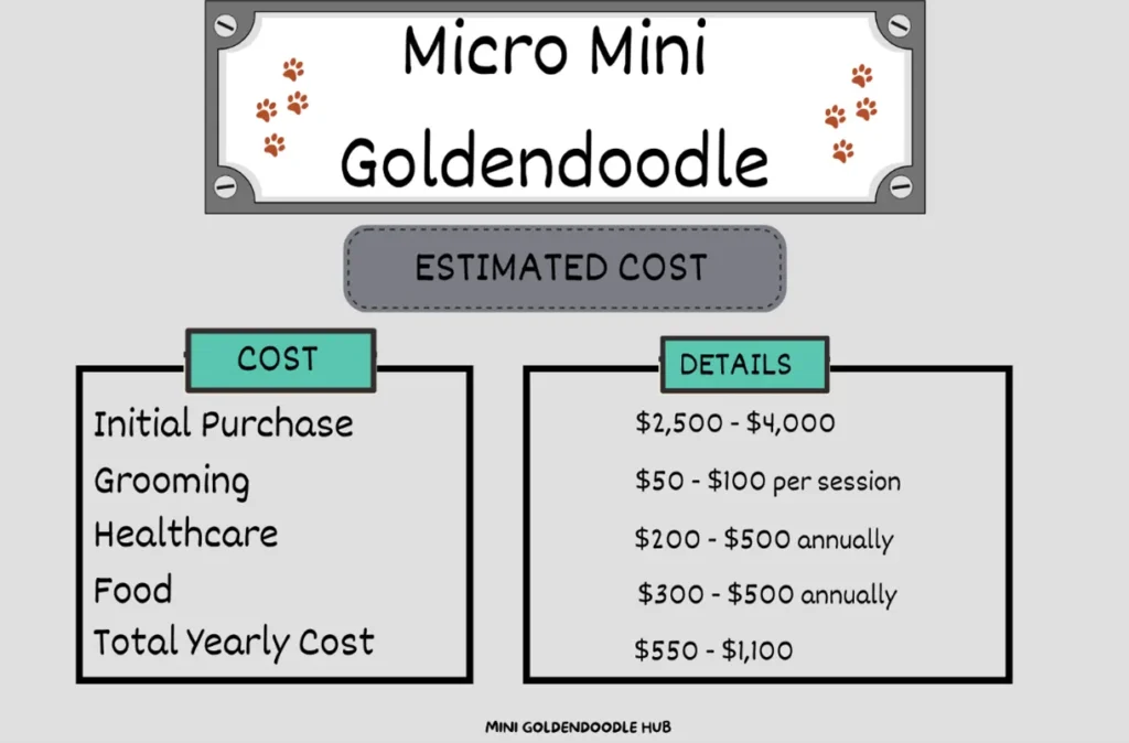Micro Mini Goldendoodle: A Visual Handbook of this Pocket-sized Puppy 36 Micro-Mini-goldendoodle-Cost