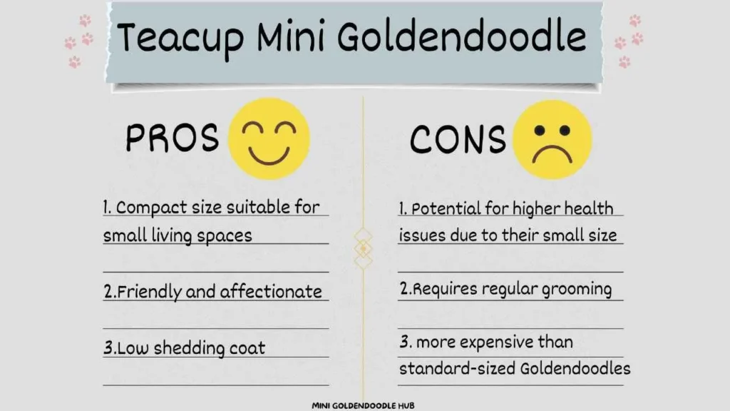 Teacup Mini Goldendoodle: Overall Guide, Featuring Facts & mysteries of these teacup mini pups 21 Pros and cons pof Teacup Mini Goldendoodle