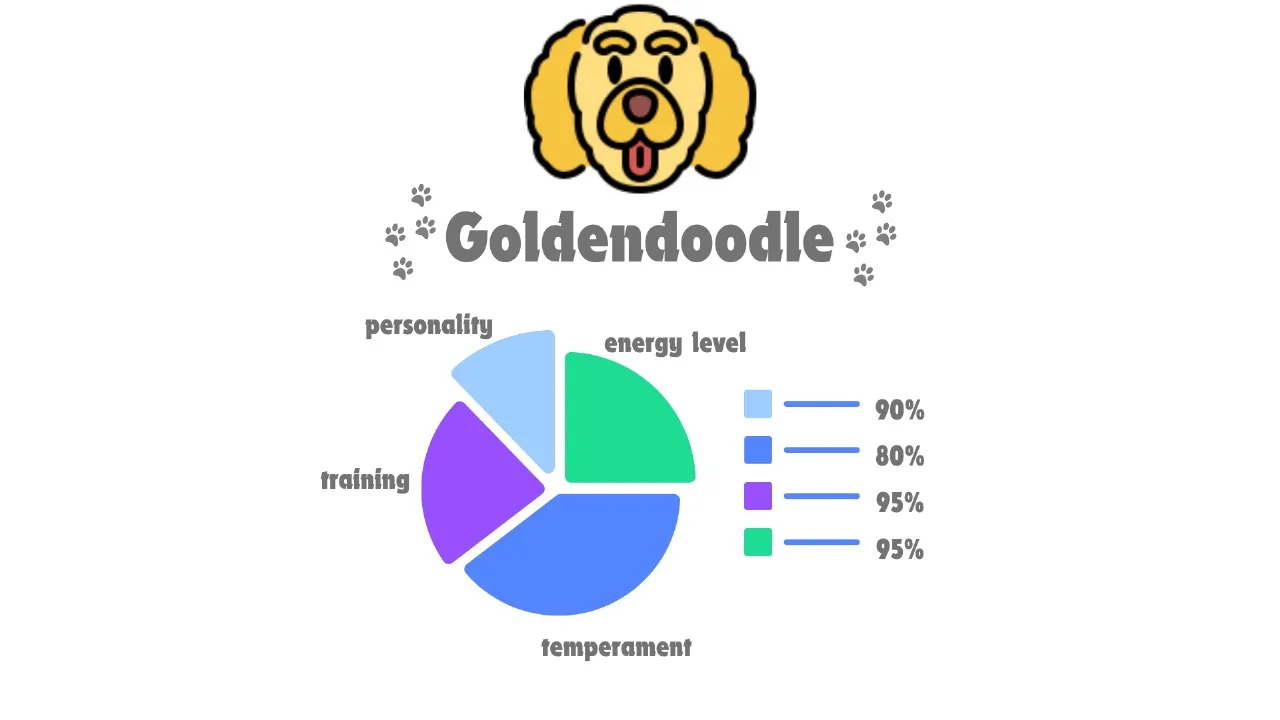 Mini Goldendoodle vs Goldendoodle: A Head-to-Head Comparison & Facts 7 Goldendoodle Facts