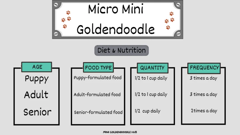 Micro Mini Goldendoodle: A Visual Handbook of this Pocket-sized Puppy 27 micro-mini-goldendoodle-Nutrition-Chart