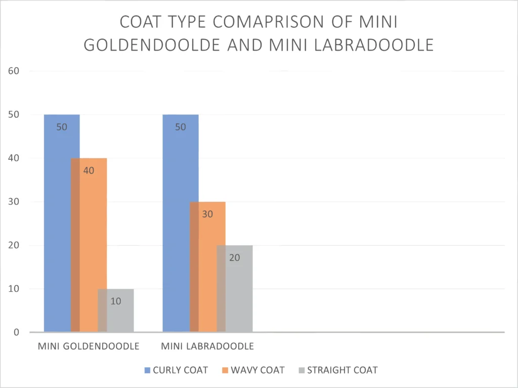 Mini Goldendoodle vs Mini Labradoodle: In-Depth Analysis! Which one is best? 12 mini goldendoodle vs mini labradooble coat type
