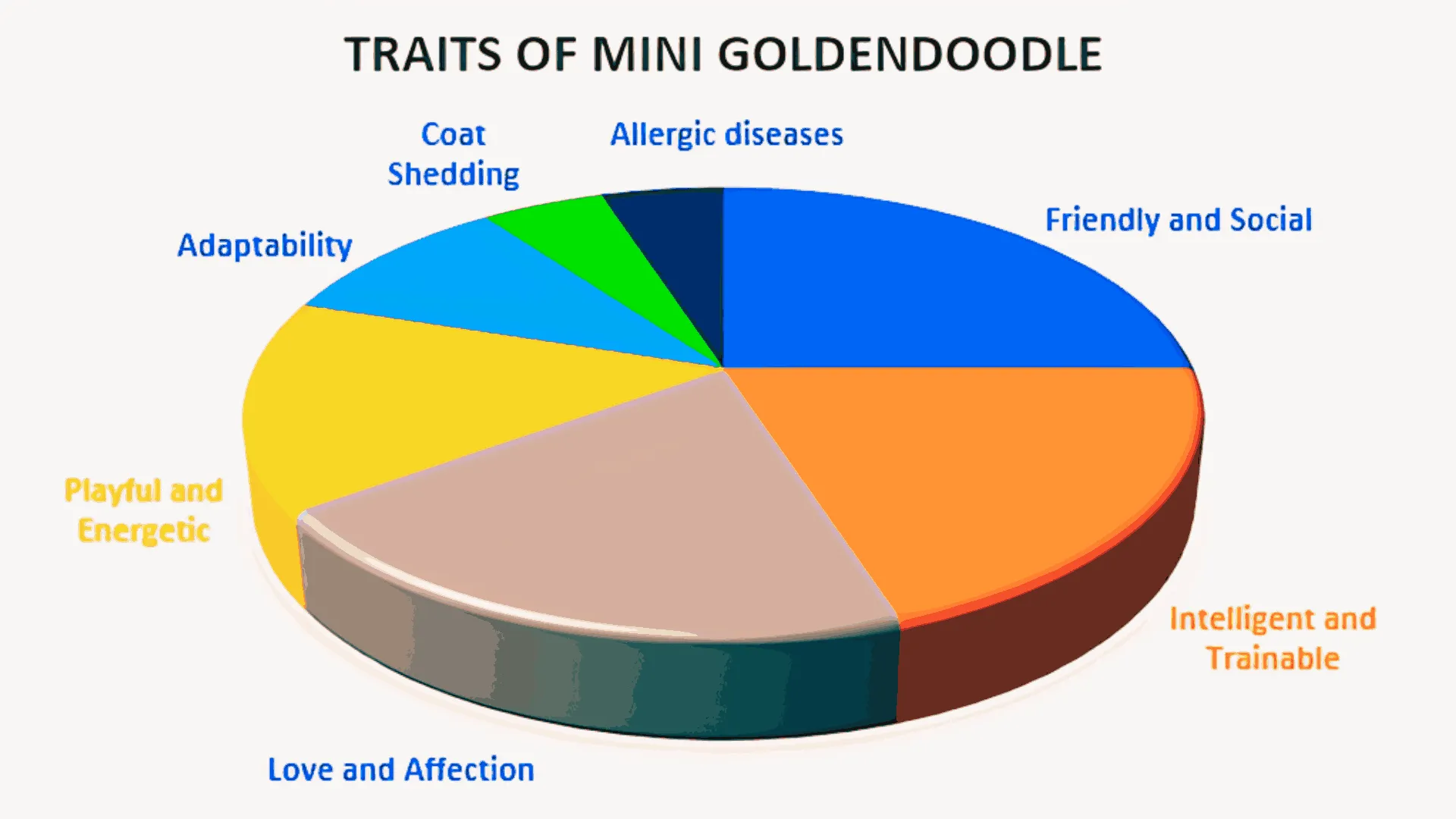 Mini Goldendoodle vs Mini Labradoodle: In-Depth Analysis! Which one is best? 3 Traits-of-mini-goldendoodle