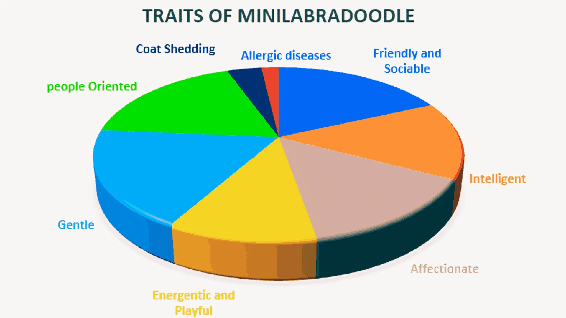 Mini Goldendoodle vs Mini Labradoodle: In-Depth Analysis! Which one is best? 4 Traits-of-Mini-Labradoodle