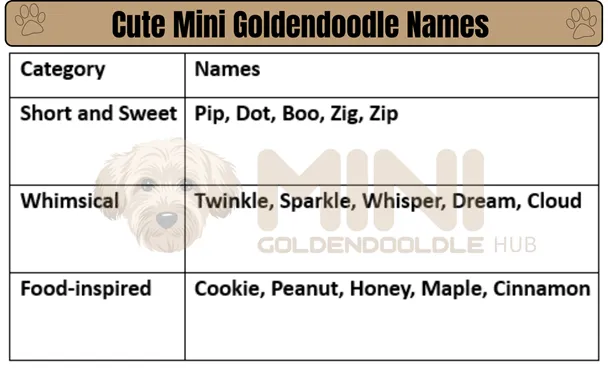 Unique & popular Mini Goldendoodle Names; By Colors & Genders. 5 Cute-Mini-Goldendoodle-Names
