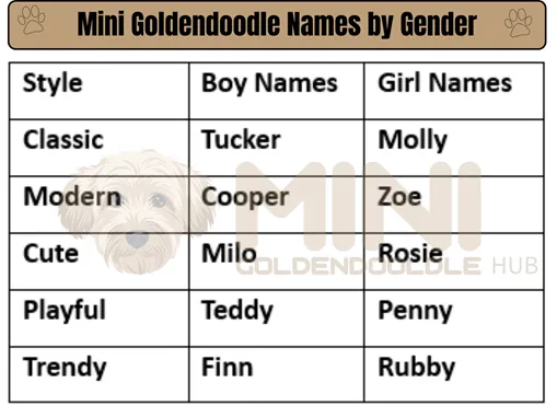 Unique & popular Mini Goldendoodle Names; By Colors & Genders. 4 Mini Goldendoodle Names by Gender minigoldendoodlehub.us- Mini Goldendoodle Hub
