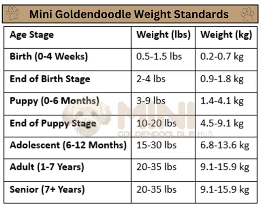 Mini Goldendoodle Weight, Growth Patterns, Charts and Expert Tips 5 Mini-Goldendoodle-Weight-Standards