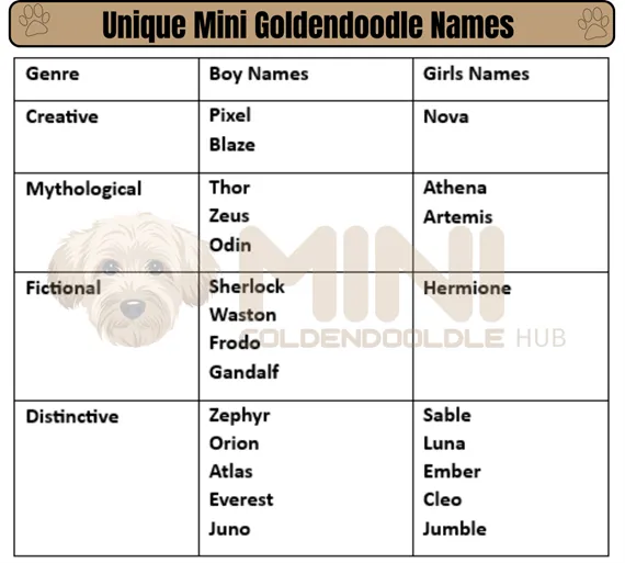 Unique & popular Mini Goldendoodle Names; By Colors & Genders. 6 Unique-Mini-Goldendoodle-Names