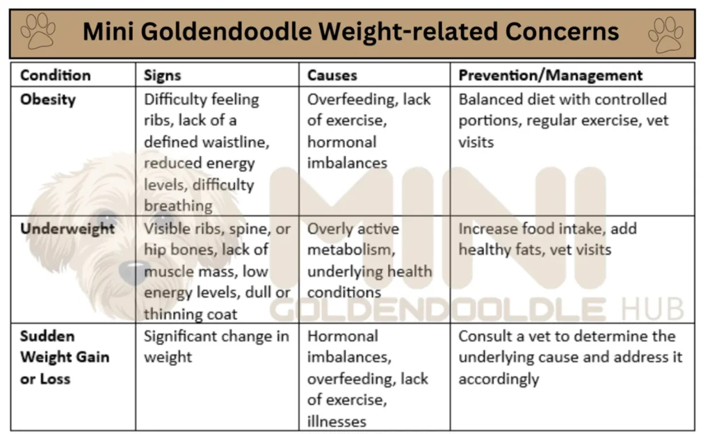 Mini Goldendoodle Weight, Growth Patterns, Charts and Expert Tips 21 Weight-related-Concerns-Miniature-Goldendoodles