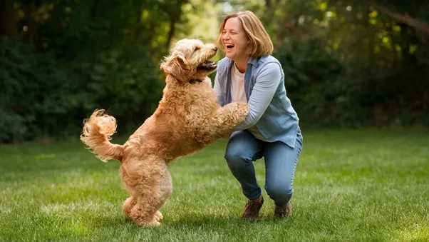Premier Goldendoodle Face Features, Self Haircut Techniques & Styles 17 Goldendoodle-grooming-face