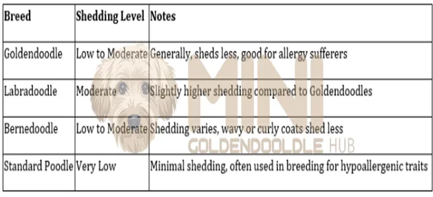 Expert 's Guide for Mini Goldendoodle Shedding Care & Management 13 Goldendoodle-vs-Labradoodle-Shedding