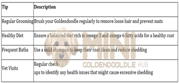 Expert 's Guide for Mini Goldendoodle Shedding Care & Management 27 Manage-Goldendoodle-Shedding